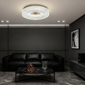 Modern minimalist round ceiling light