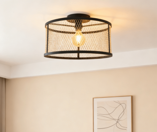 E27 American Style Cage Steel Black Living Room Ceiling Light