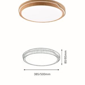 Modern Minimalist Eye-Protecting LED Ceiling Light - Image 2