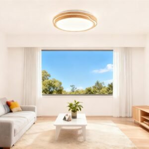Modern Minimalist Eye-Protecting LED Ceiling Light