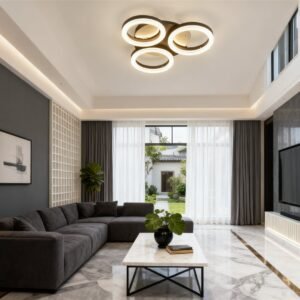 Round LED Ceiling Light for Modern and Minimalist Home Use