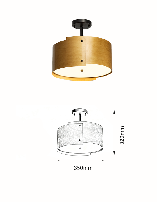 Modern Minimalist Multi-Color Metal and Wood Pendant Light - Image 3
