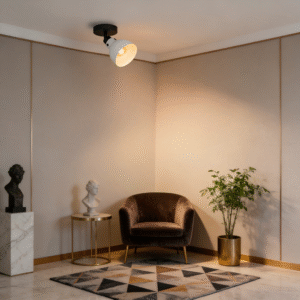 Minimalist Black-Grey Ceiling light Functional Accent Lamp for Contemporary Rooms