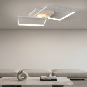 Ceiling Light